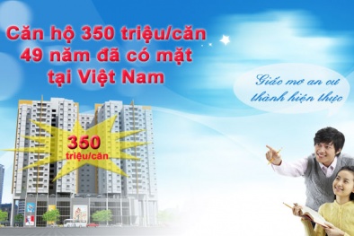 Cho thuê liệu có cứu thị trường bất động sản?